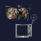 Reverse: 1999: Isolde Acrylic Block & Frame Keyring - Knock on the Narrow Door