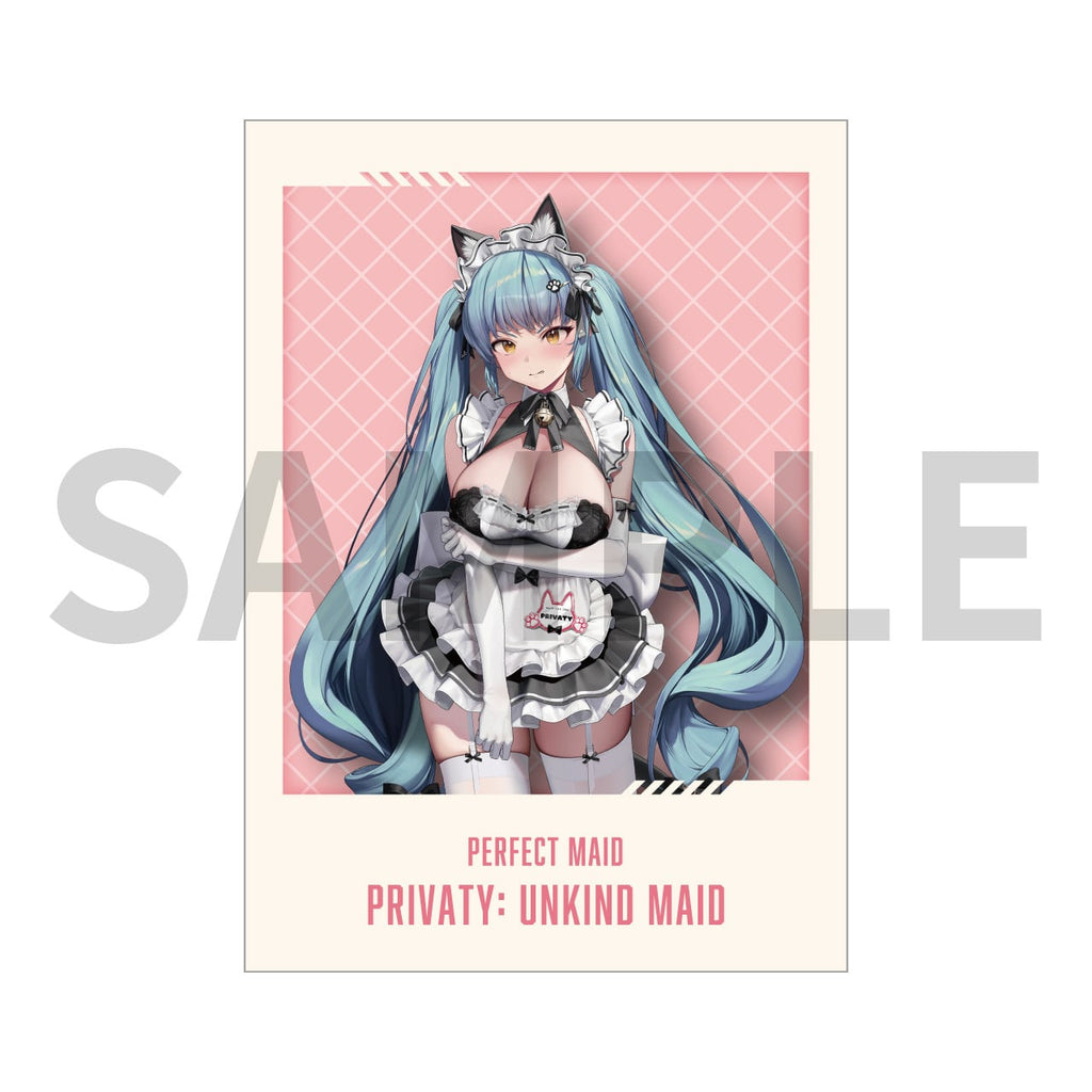 Goddess of Victory: NIKKE: Perfect Maid Photo Card BOX - 10 Types Set