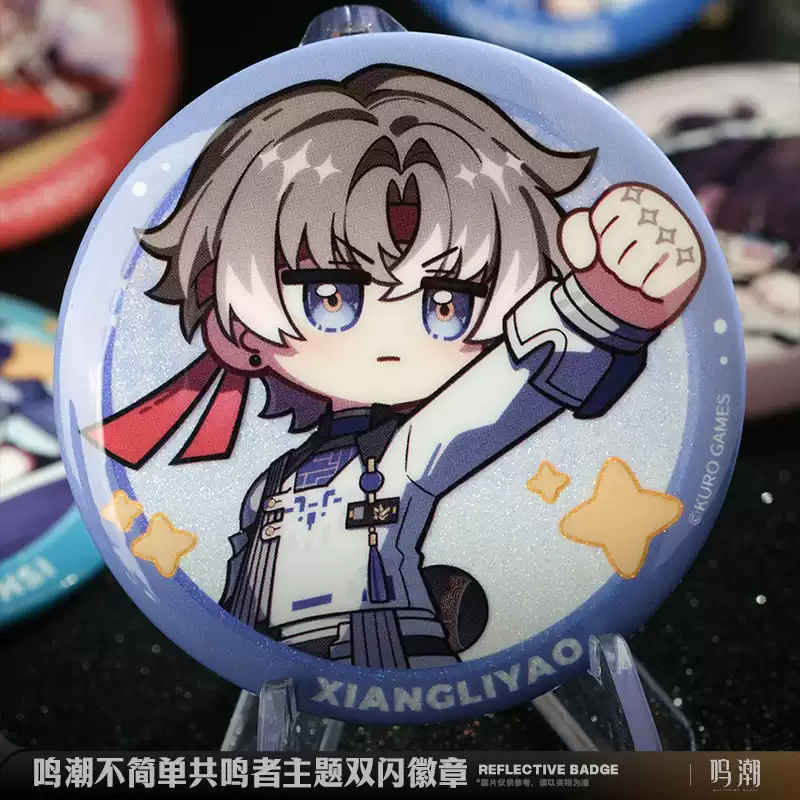 WuWa Official Wuthering Waves Resonator Theme - Dual Glow Badge Set