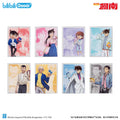 명탐정 코난 공식 정품 굿즈 Sweet Memories Gift 봉제 뱃지·아크릴 블라인드박스 드라이플라워 아크릴 블록 풀세트